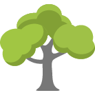 Charlottesville Tree Removal